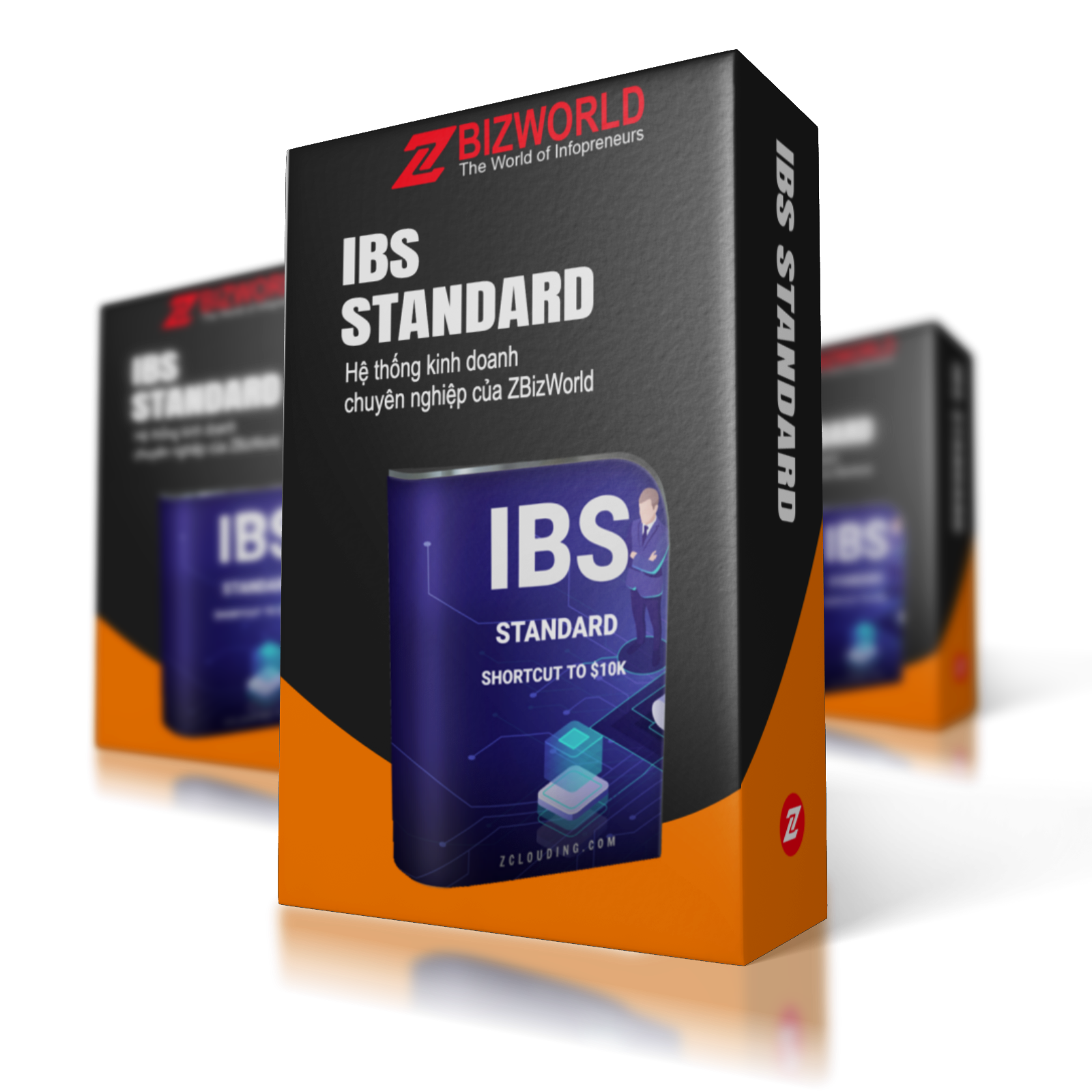IBS Standard