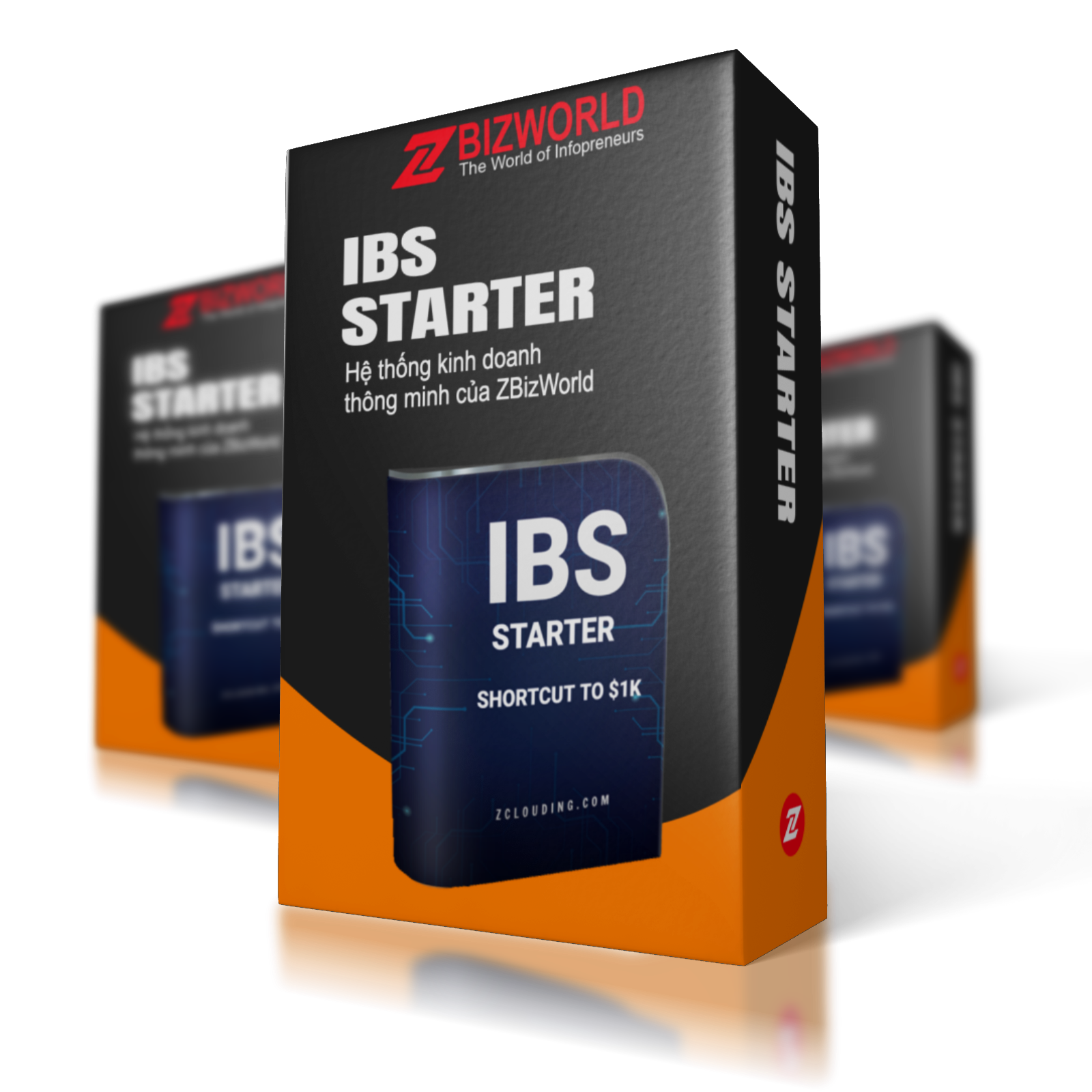 IBS Starter